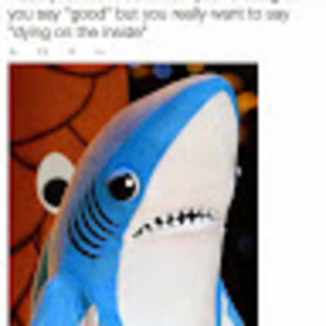 Meet your Posher, Michelle